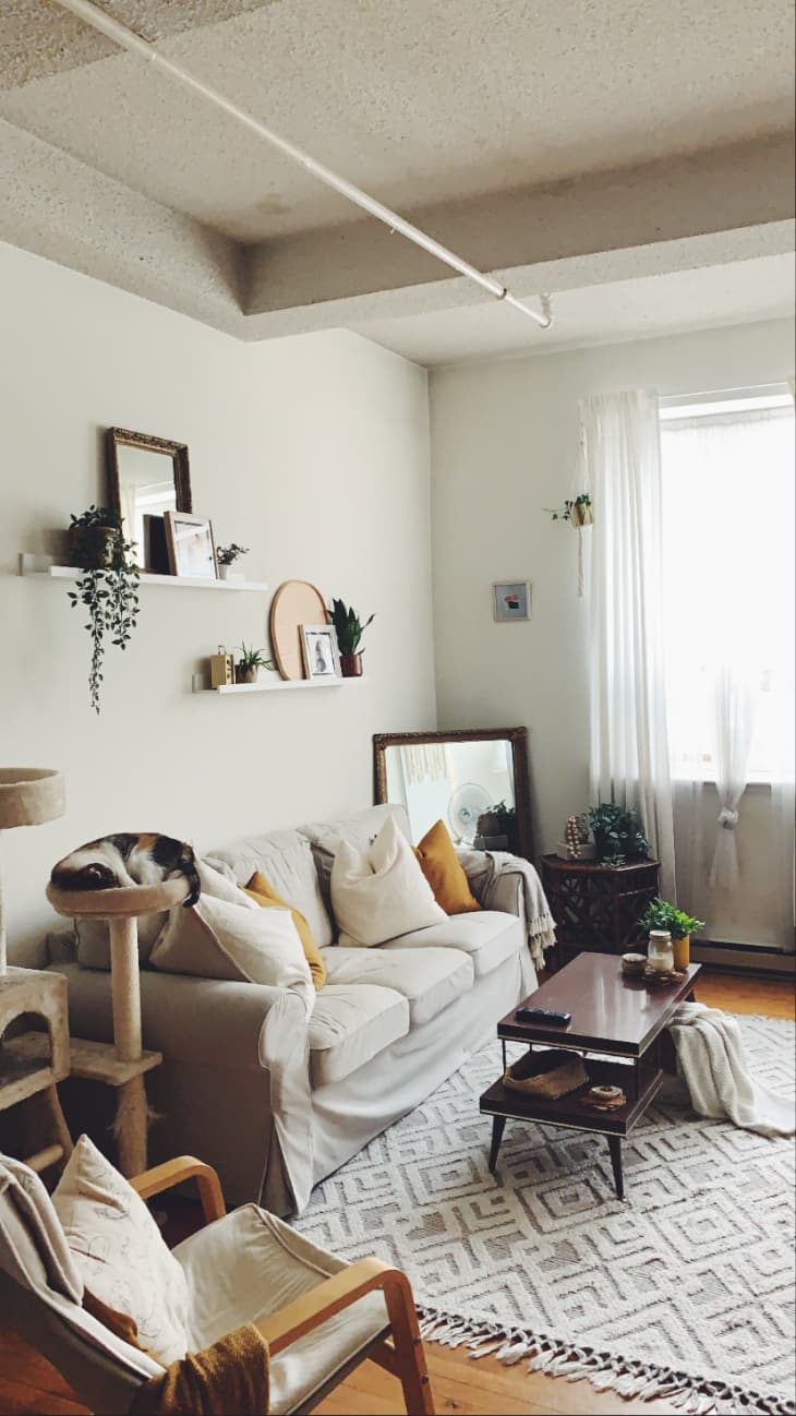 Cozy Airy 700SquareFoot Apartment Apartment Therapy